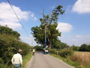Cherry Picker, Tree and Power lines