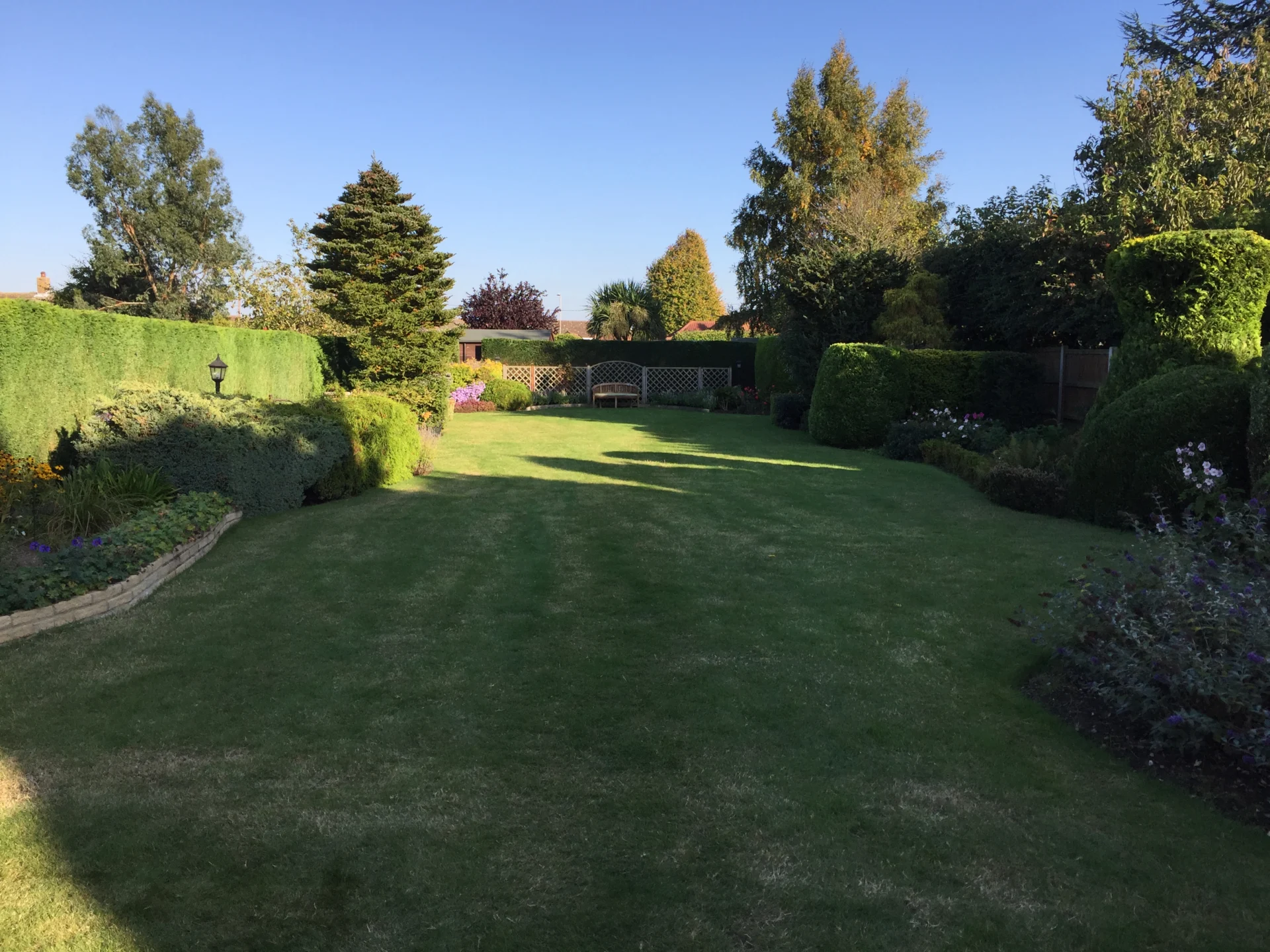 Trimmed hedges defining garden spaces