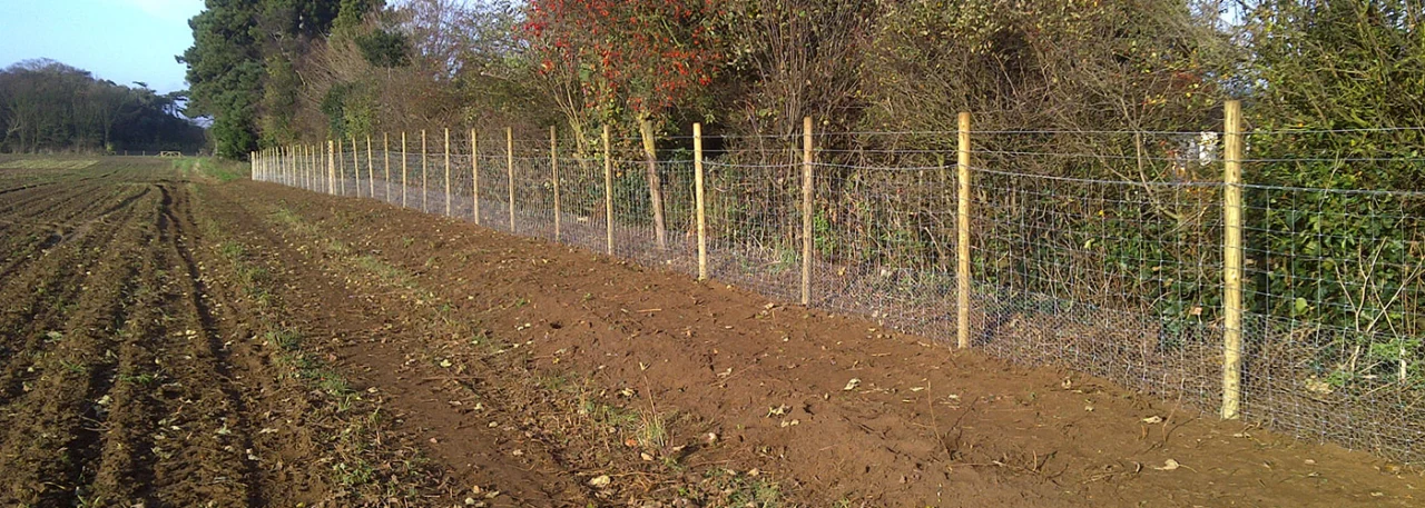 Post and wire livestock fencing beside a field