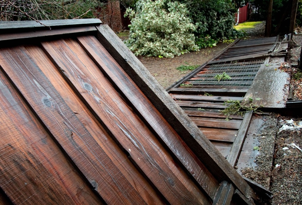 Broken timber fence panels lying on the ground