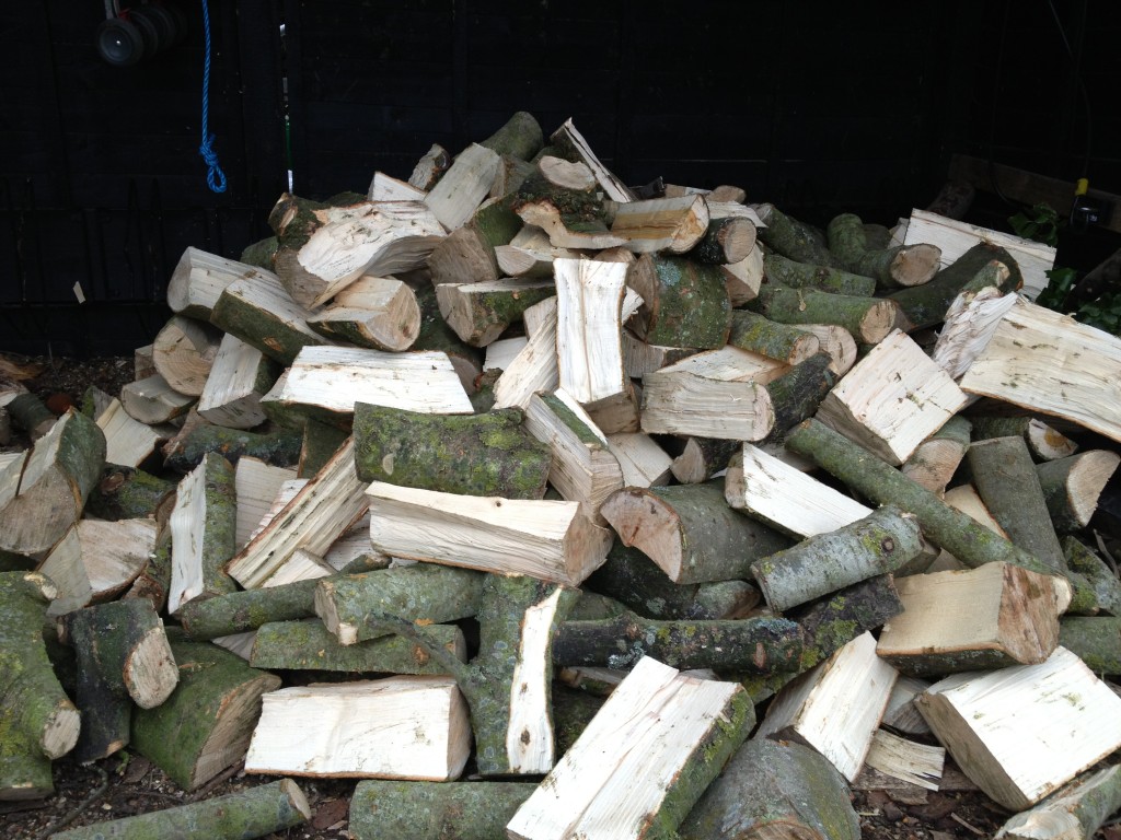Pile of cut and split firewood