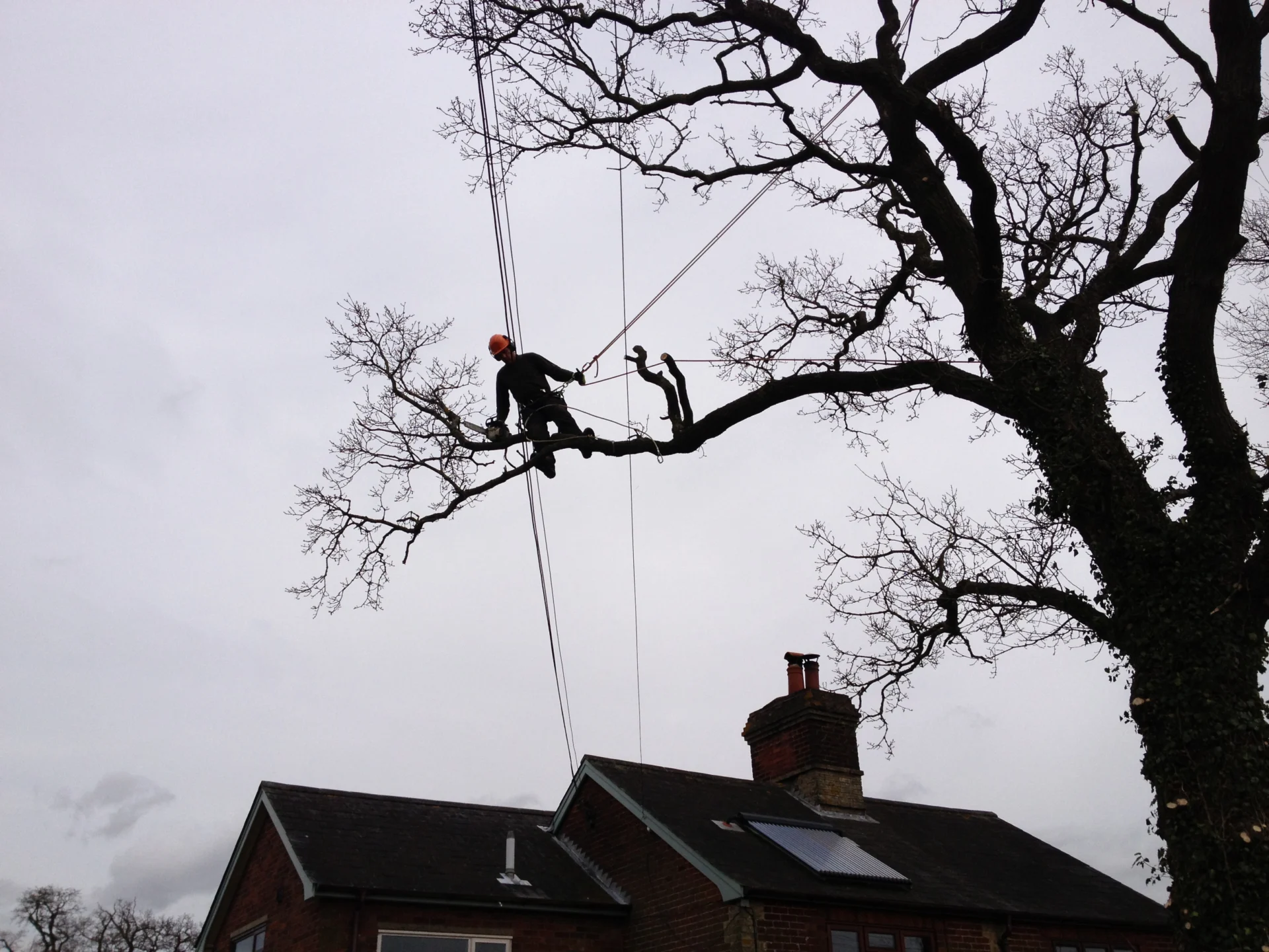 Climber working on a branch above a roof