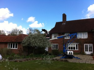 Shaping a lage bush with the Cherry Picker in Royal Deeside