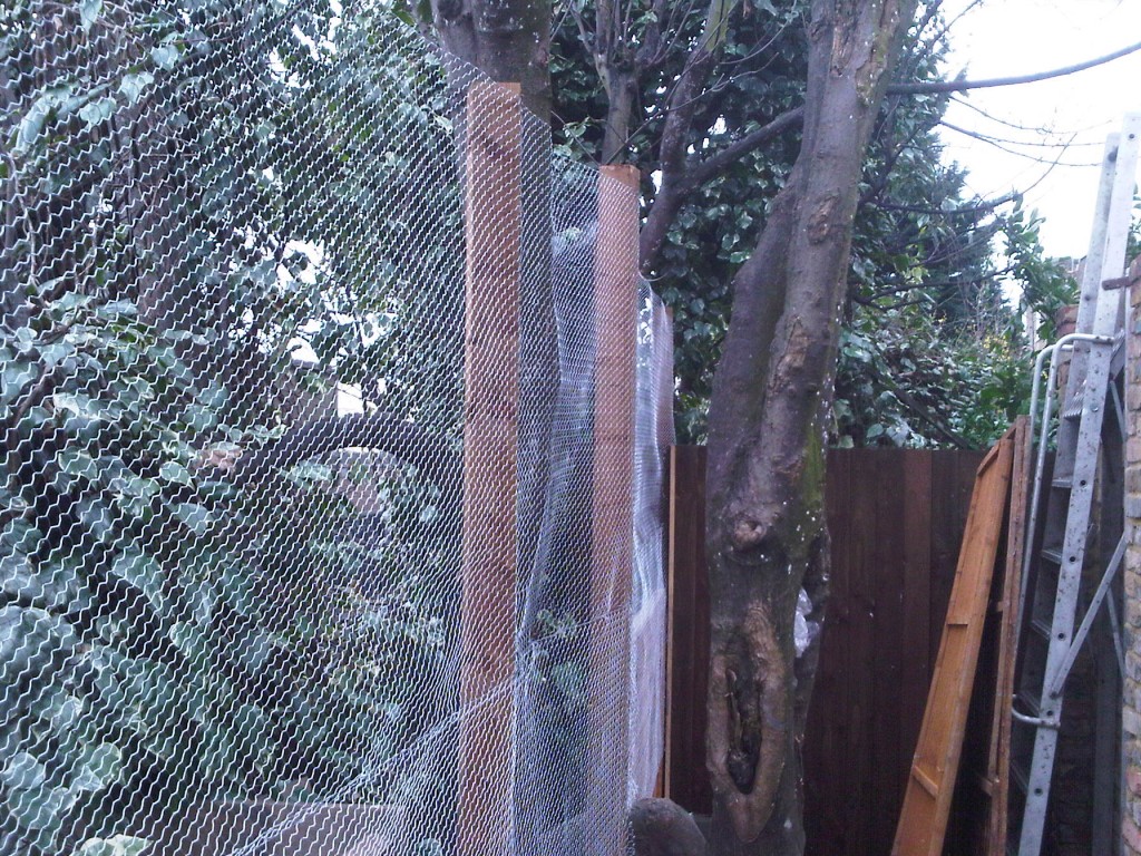 Tall wire mesh fencing beside mature trees and a garden gate