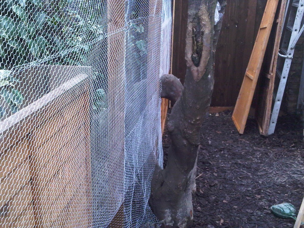 Tall wire mesh fencing beside mature trees and a garden gate