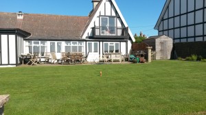 Newly established garden lawn