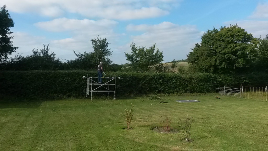 Garden hedge with a mobile working platform