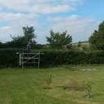 Hedge Cutting