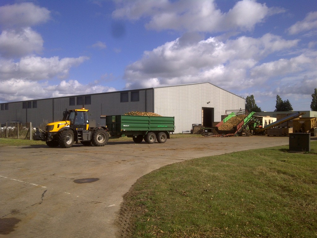 Tractor and tipping trailer transporting harvested crops