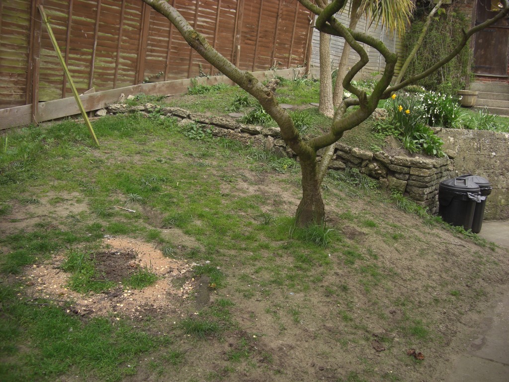 Garden before patio and retaining-wall construction