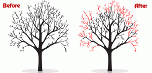 Crown Reduction, Tree Surgery, Aberdeenshire