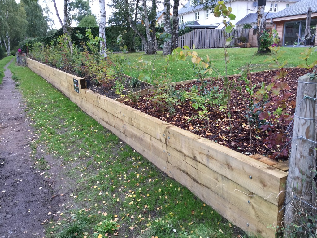 Completed timber sleeper retaining wall beside a garden path