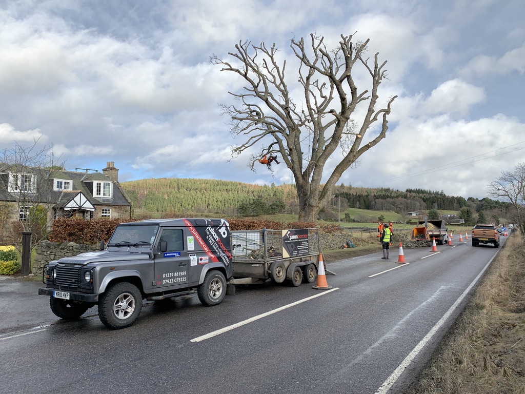 Climber completing reduction work beside a managed roadside work area