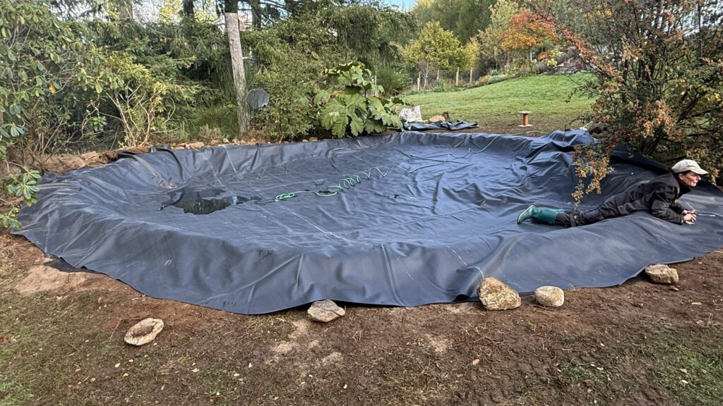 New pond liner spread across the prepared basin, with a team member adjusting the edge.