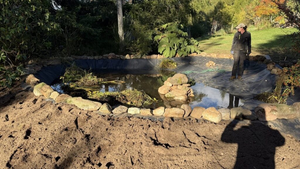 Partly refilled pond with natural stone edging being reinstated around the new liner.