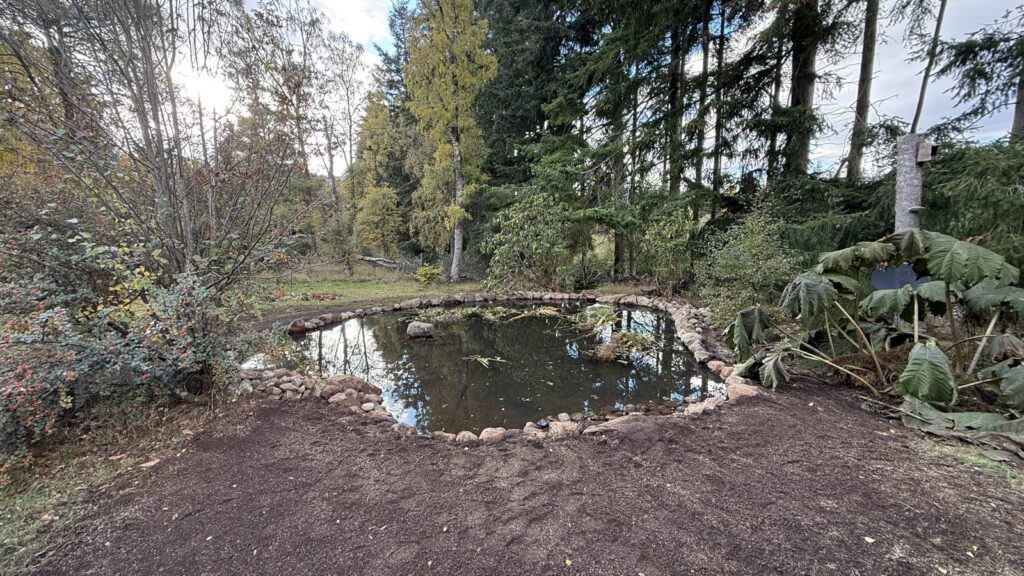 Rejuvenated garden pond with open water and natural stone edging among mature trees in Aboyne.
