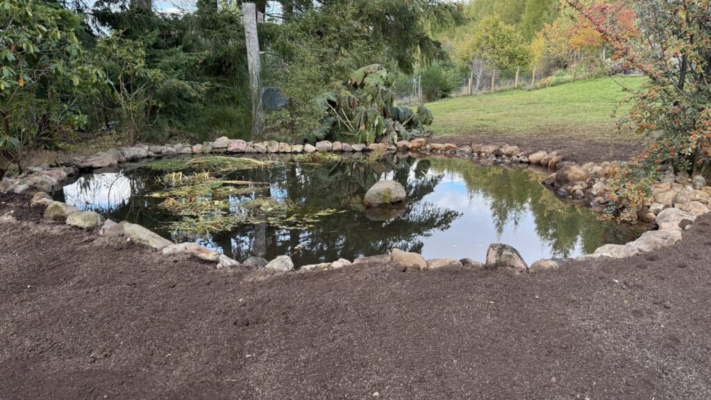 Completed pond rejuvenation in Aboyne, showing the refilled pond, stone perimeter and central boulder.